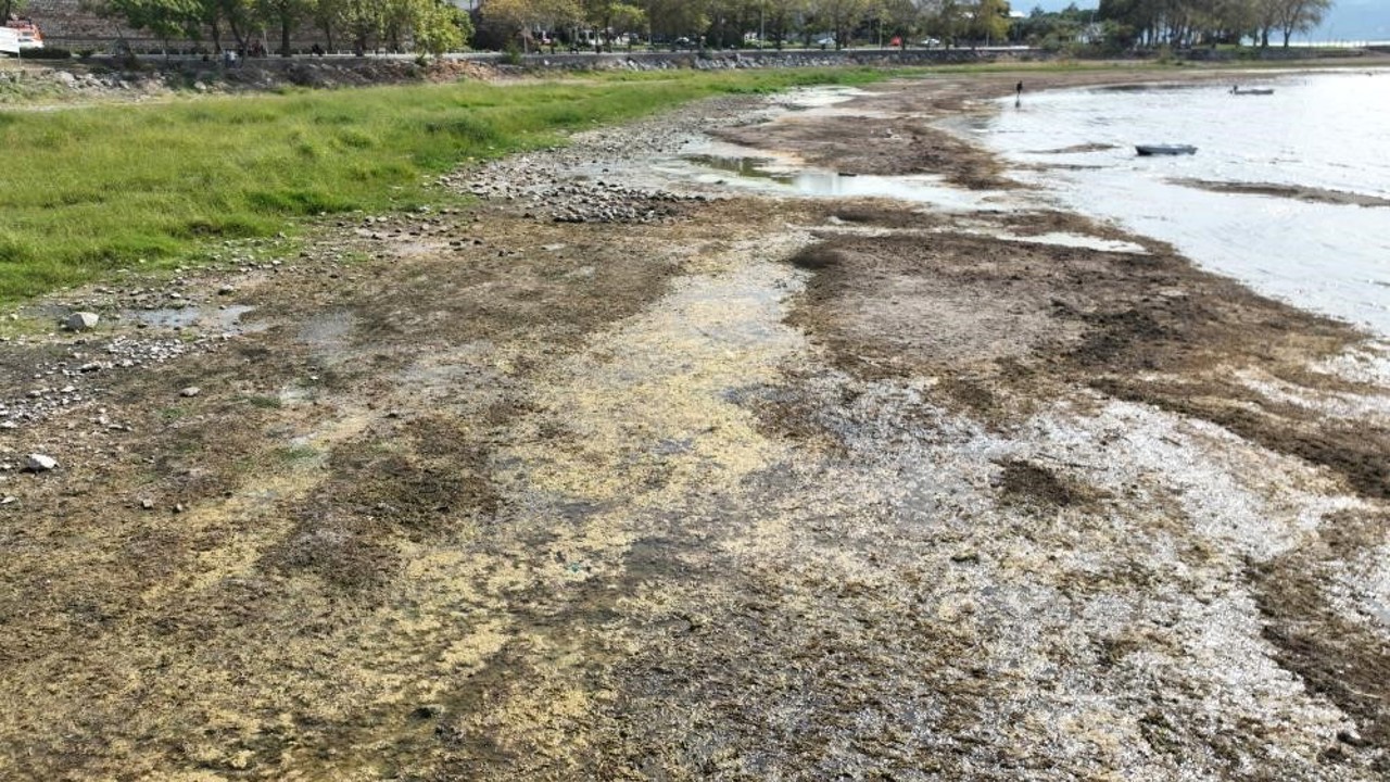 İznik Gölü kuruyor: Cargill’in yer altı sularından yılda 1 milyon metreküpten fazla su çektiği ileri sürülüyor
