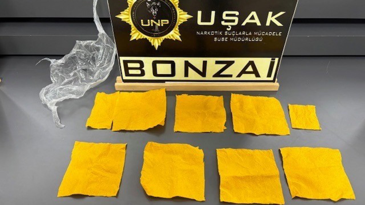 Uşak’ta çok sayıda uyuşturucu madde ele geçirildi
