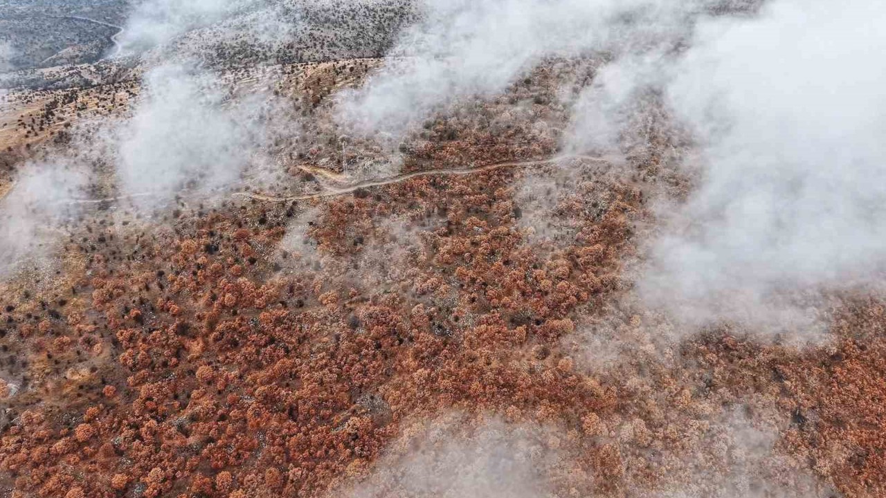Çankırı’da sis ve kızıla bürünen ormanların buluşması mest etti
