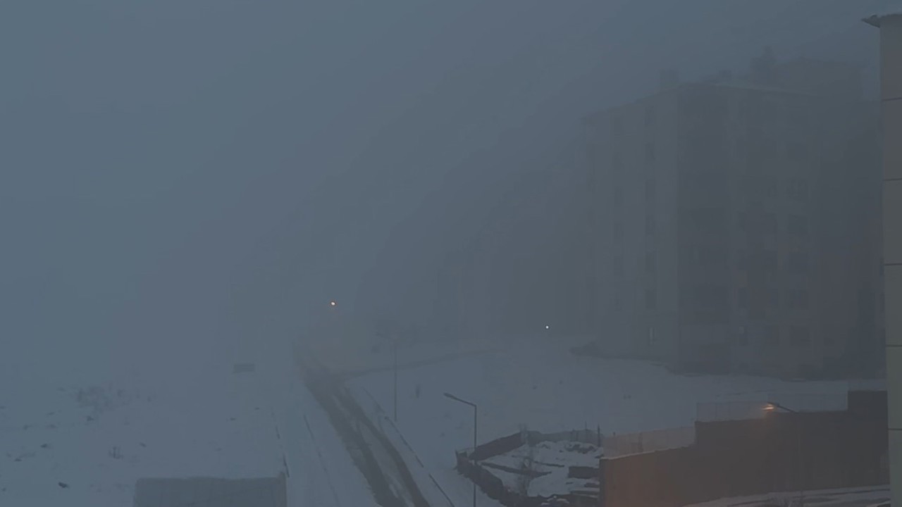 Yüksekova’da yoğun sis hayatı felç etti
