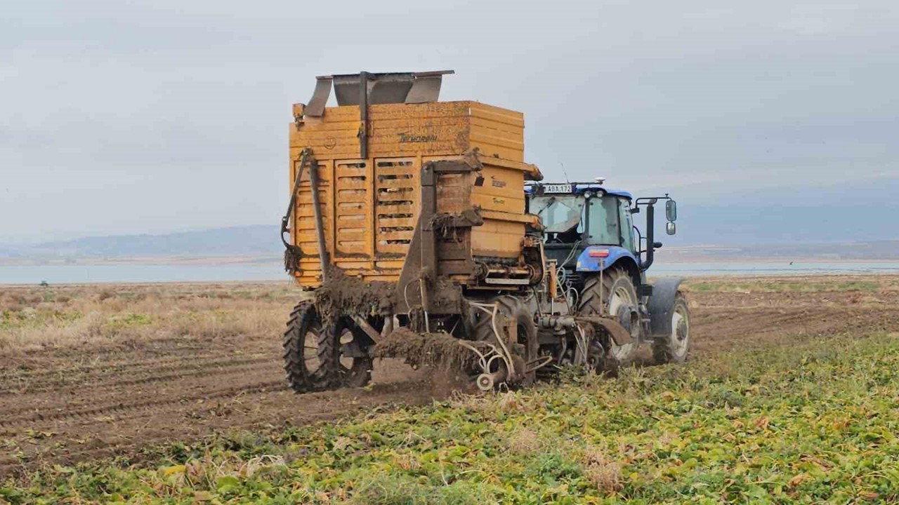 Adilcevaz’da pancar sökümü hızla devam ediyor
