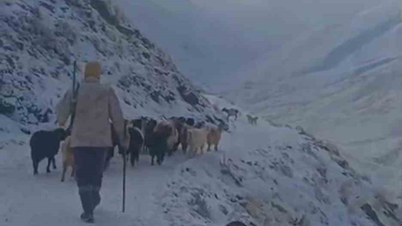 Ağrı’da kar ve tipi hayatı durdurdu
