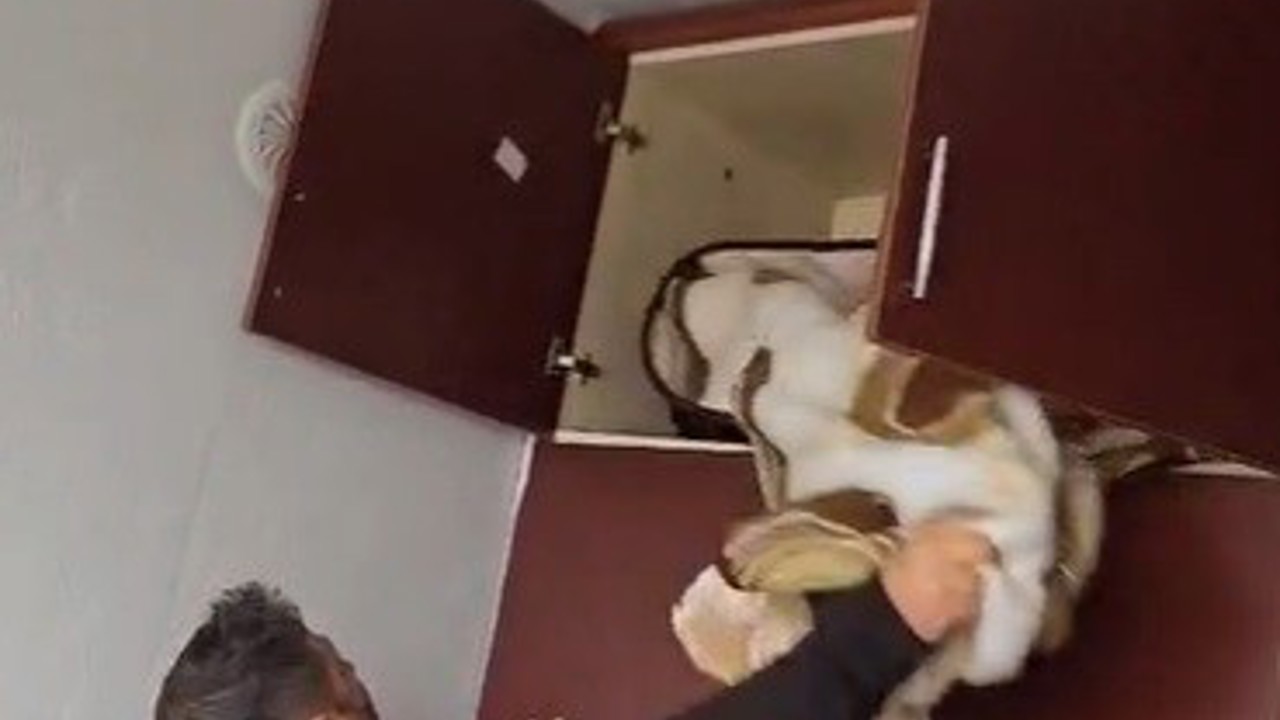 Aranan şahsın yakalandığı yer pes dedirtti
