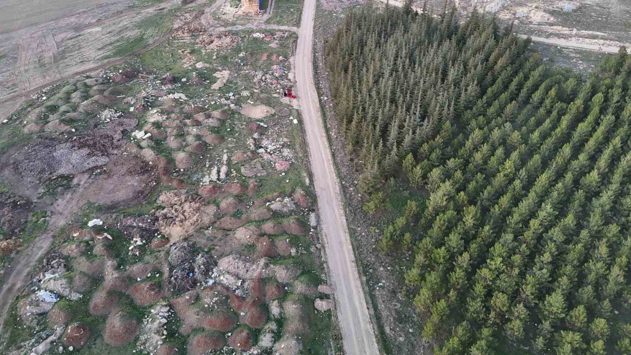 Eskişehir’de tezat görüntü: Bir yanda yeşil ağaçlar, bir yanda çöp yığınları
