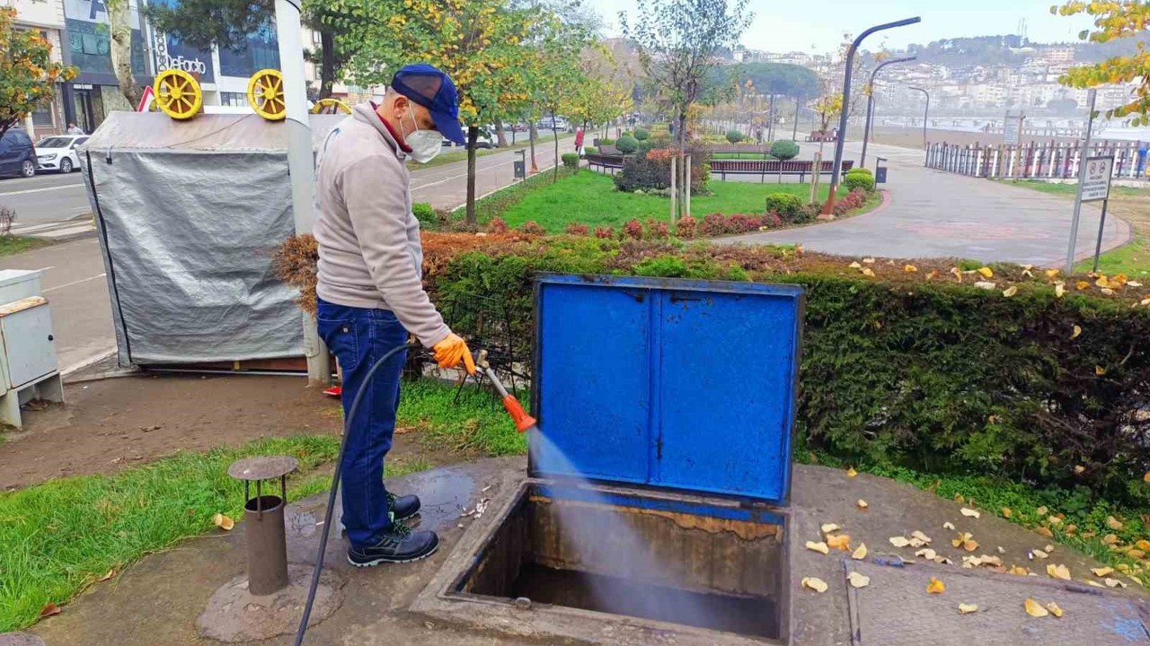 Ordu’da haşerelere karşı kışlak çalışması başlatıldı
