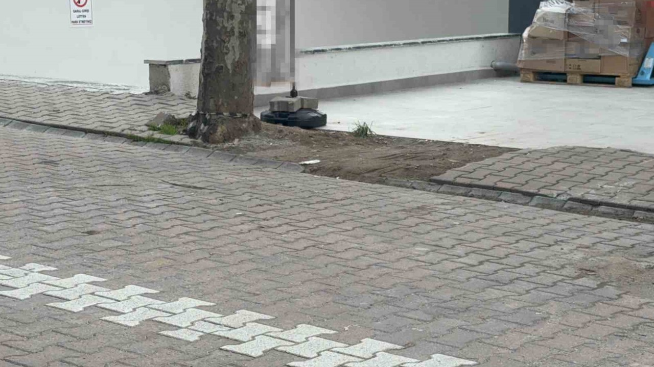 Çöpe atmak için yerden aldığı kargo poşetinin içinden 60 bin dolar çıktı
