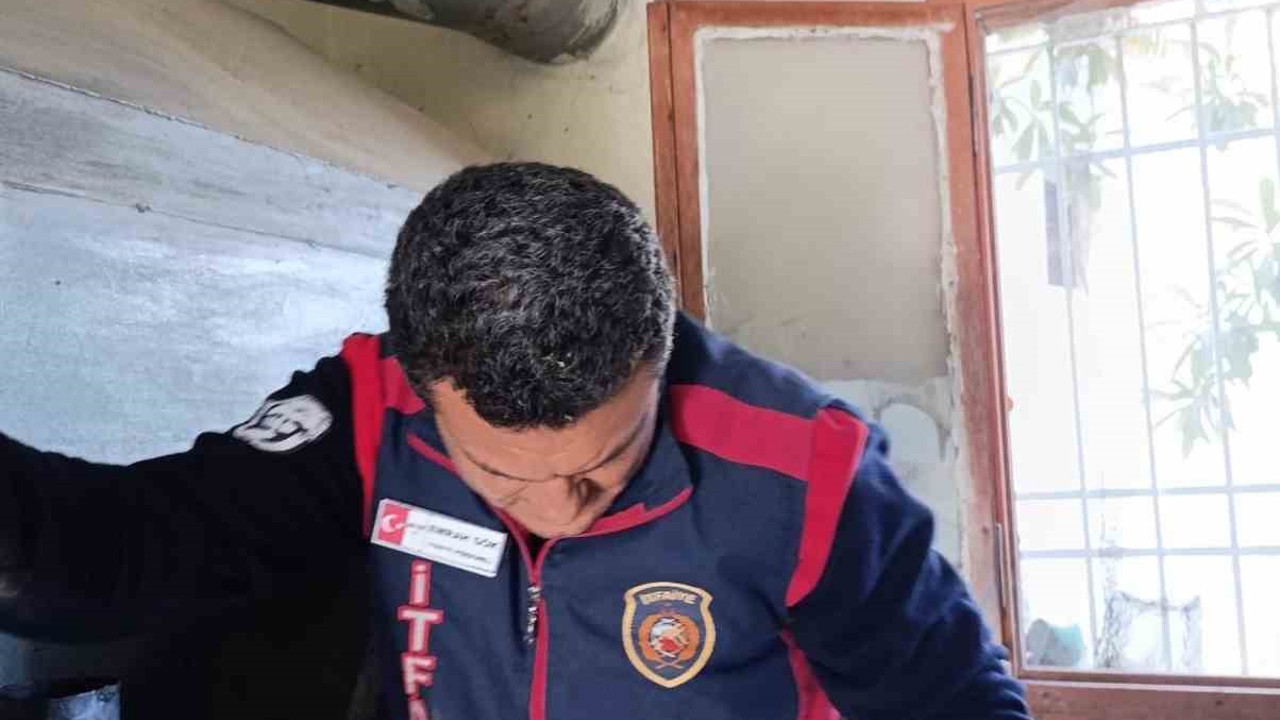 Arsuz’da kuş kurtarma operasyonu
