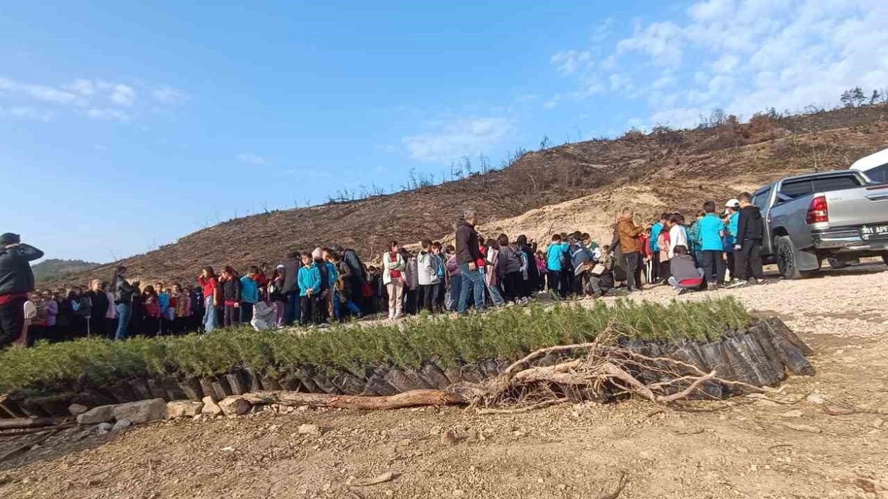 Öğrenciler, orman yangınında zarar gören alana fidan dikti
