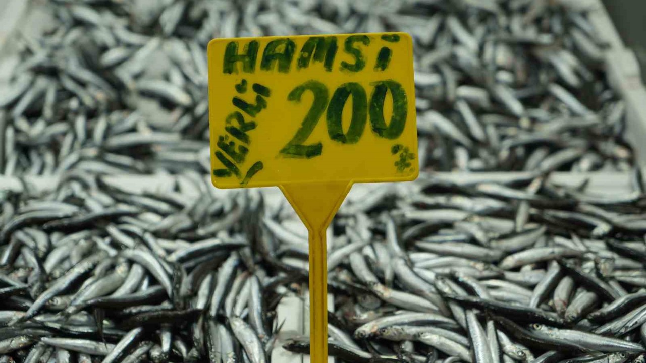 Hamside bolluk azaldı, fiyatı 200 TL’ye çıktı
