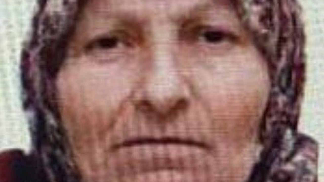 Bilecik’te kaybolan yaşlı kadını jandarma buldu
