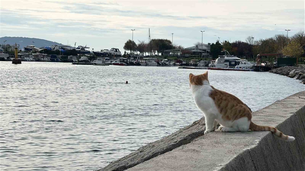 Kartal’da üşüten manzara: İki arkadaş soğukta denize girdi
