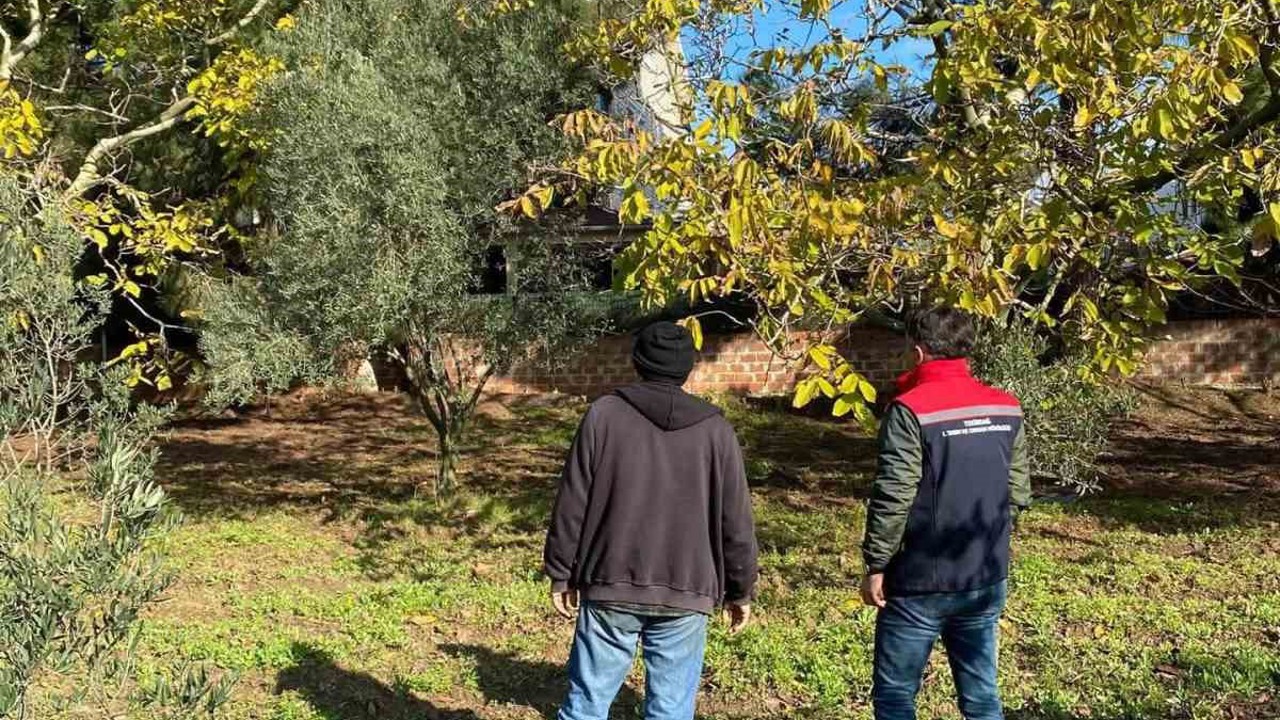 Tekirdağ’da ceviz bahçesinde hastalık ve zararlı kontrolü yapıldı
