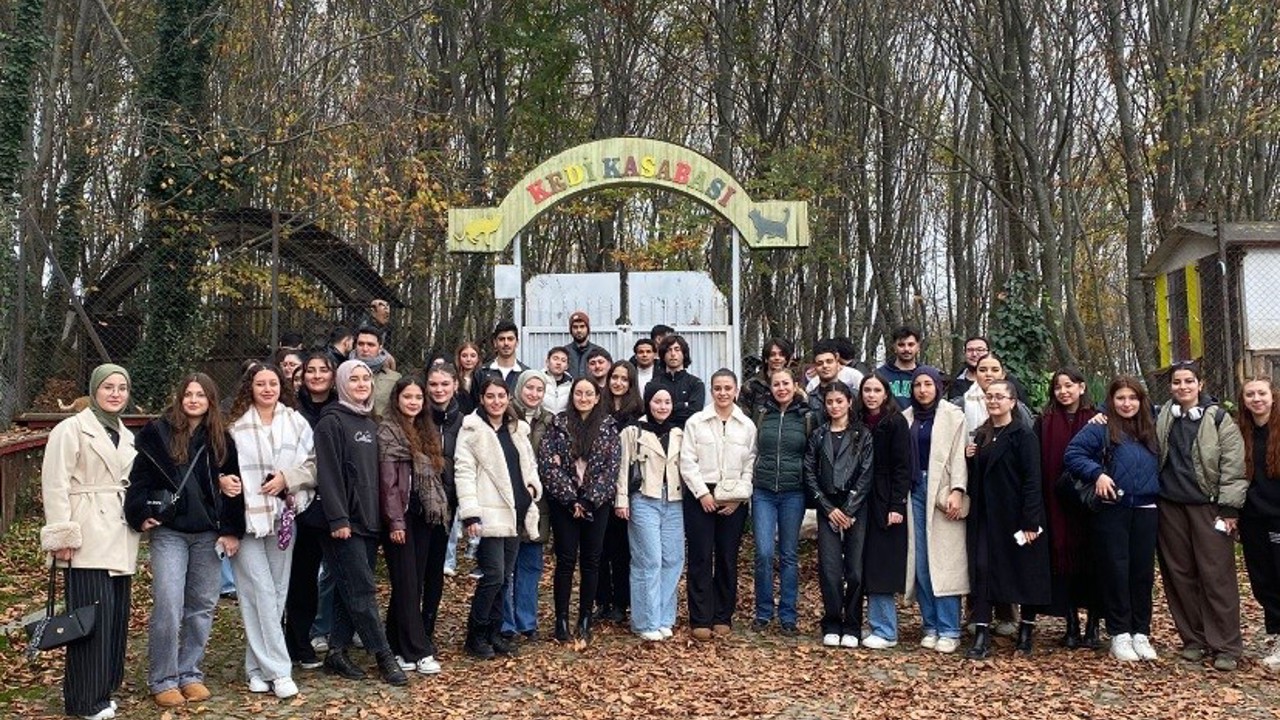 OMÜ’den sokak hayvanlarına destek: Barınağa 312 kilo mama bağışı
