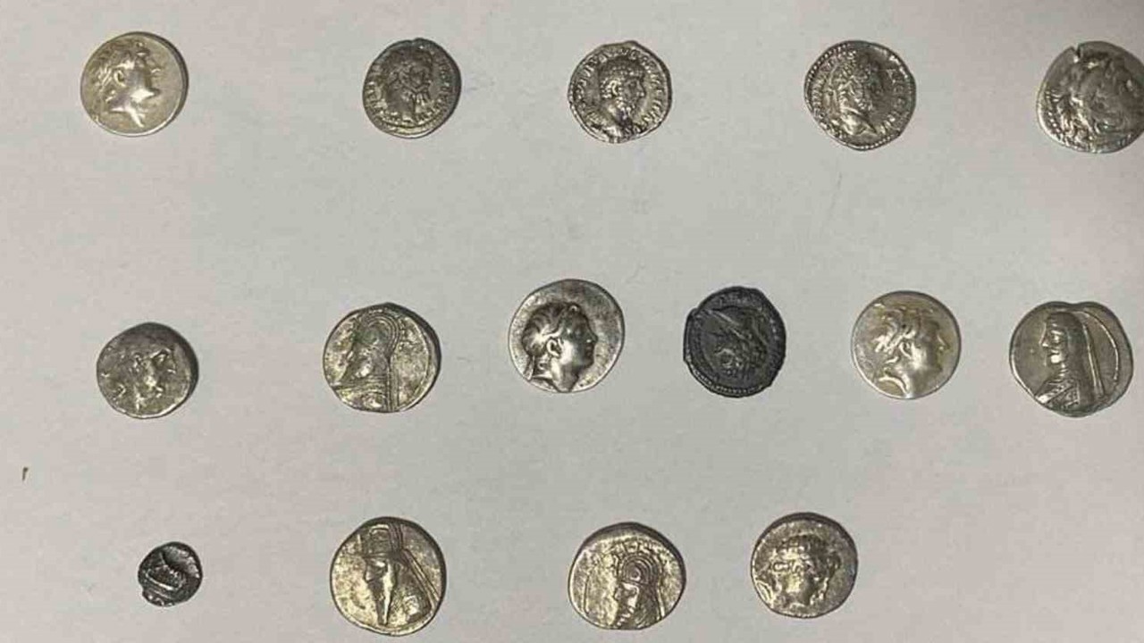 Hatay’da 26 sikke kargo ile göndermek üzereyken ele geçirildi
