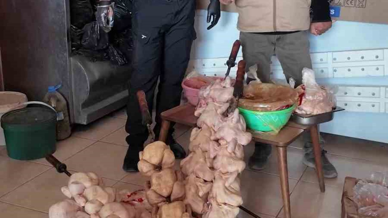 Zabıta ekiplerinin ‘Leş kokusu var’ dediği dönercide mide bulandıran görüntü
