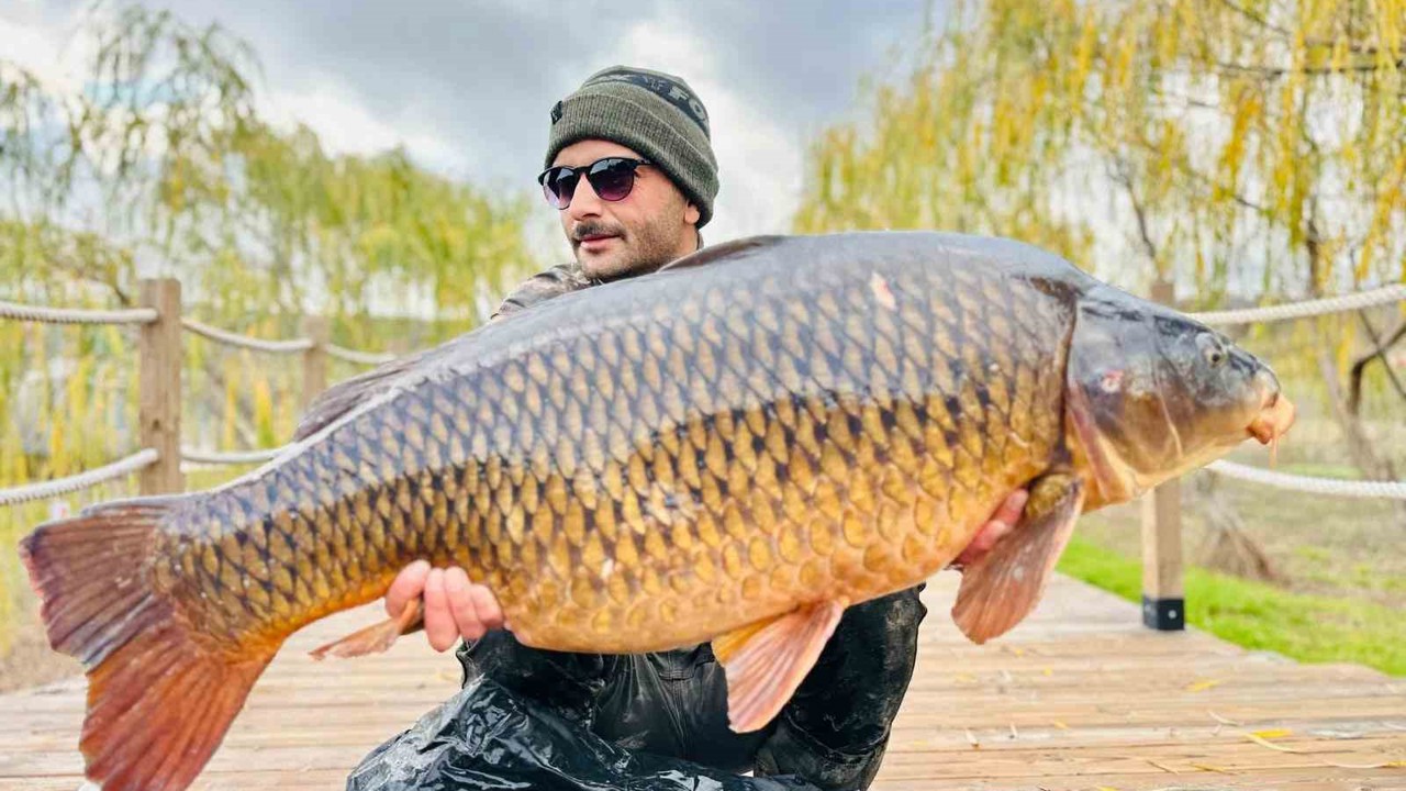 Yakaladıkları dev gibi sazan balığını suya geri bıraktılar
