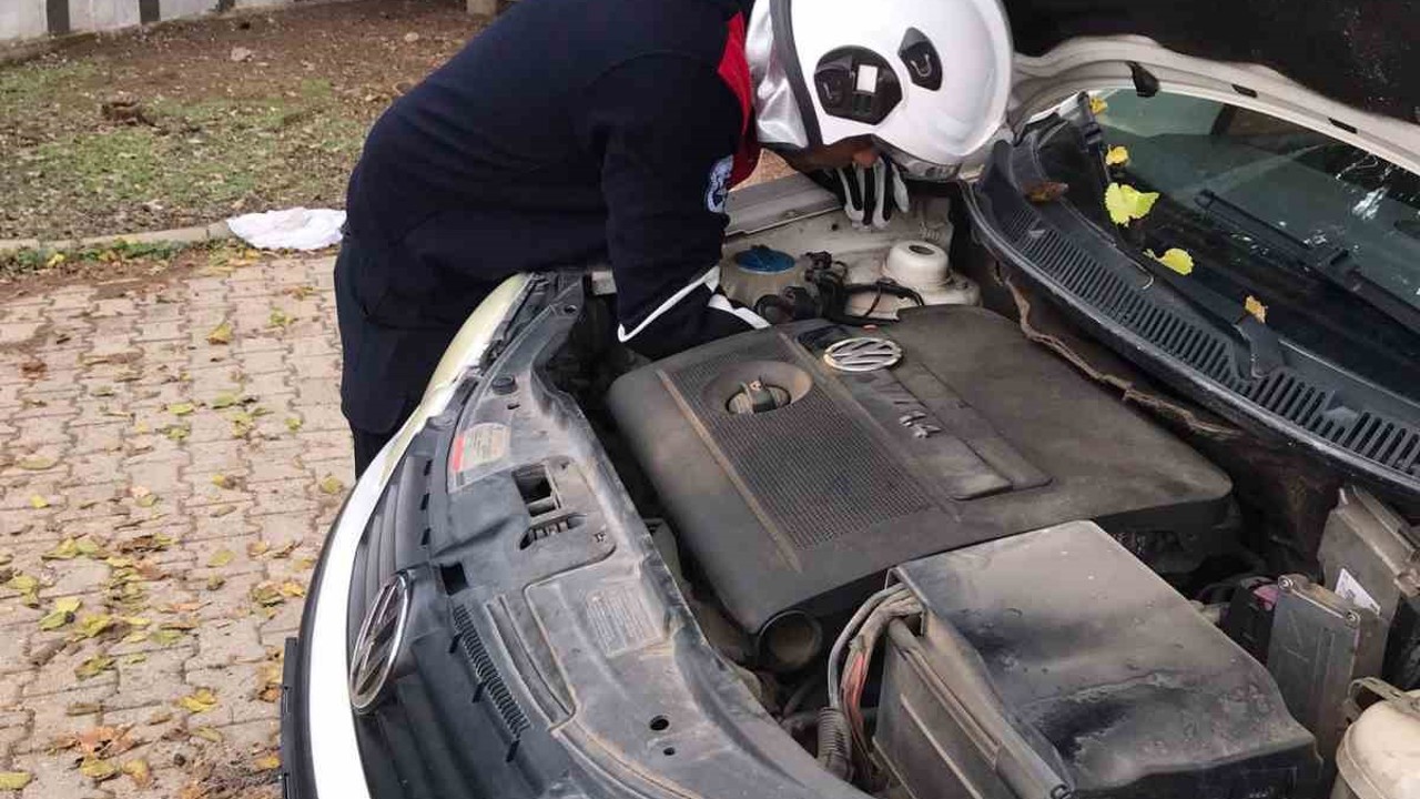 Üşüyen kedi, otomobilin motoruna girdi
