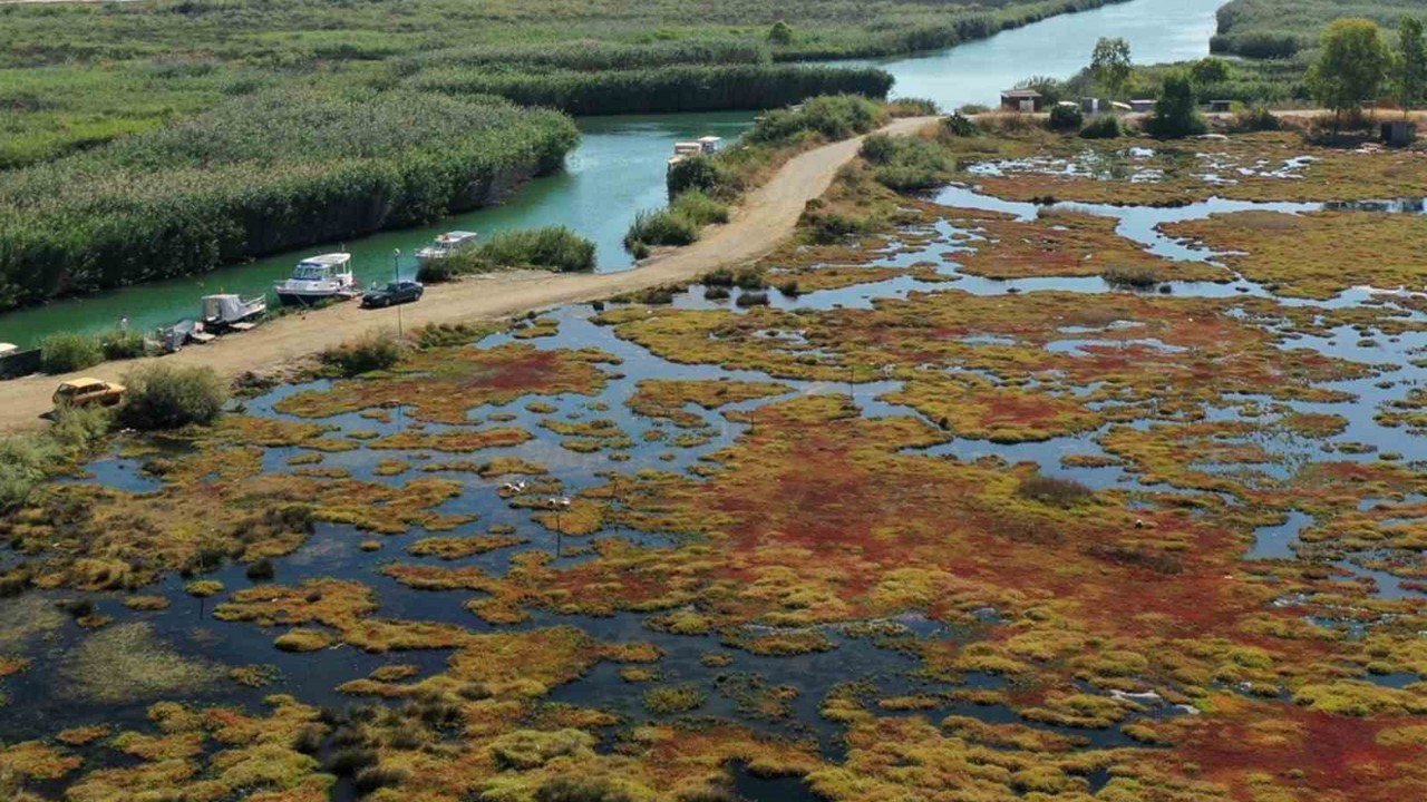 Gökçe Sulak alanı yeniden canlanıyor
