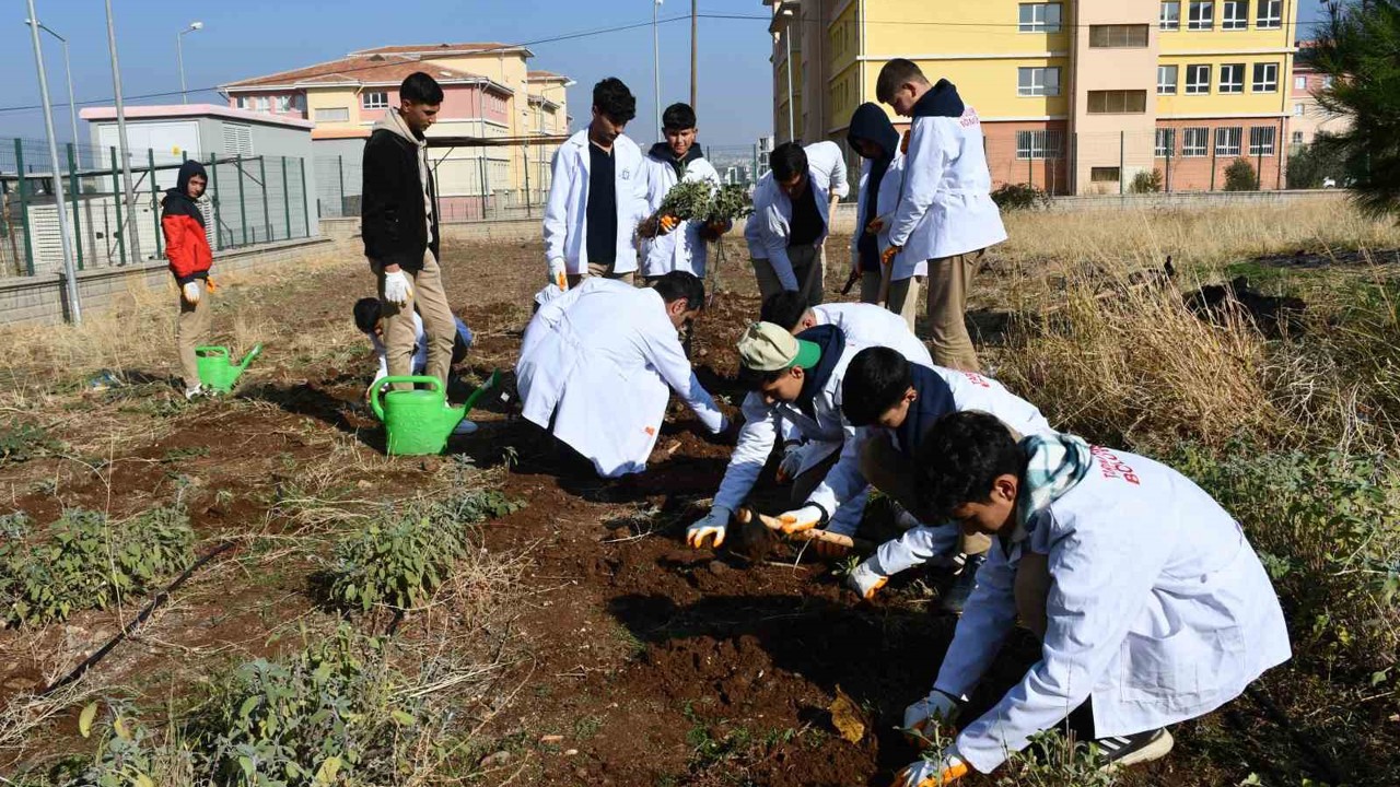 Öğrencilere ’tohumdan sofraya’ tarım eğitimi
