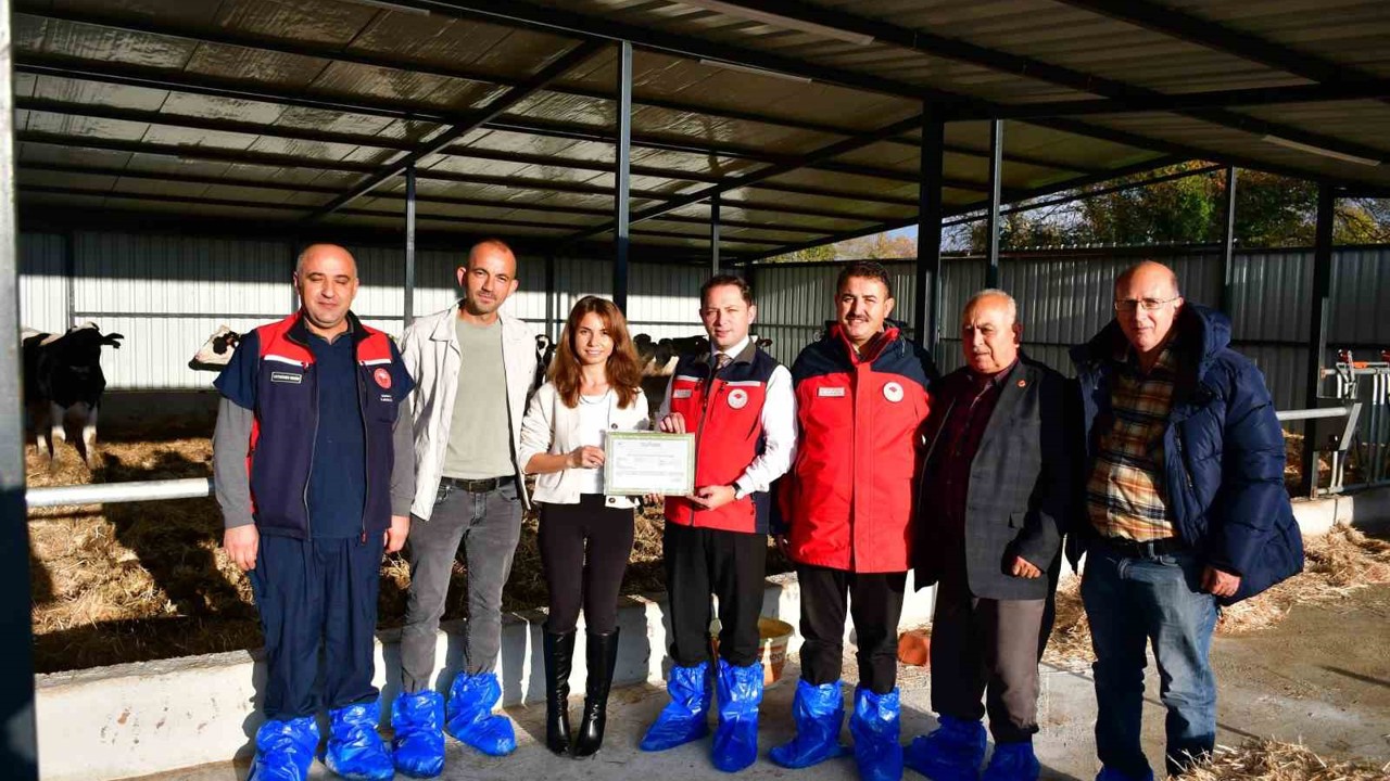 Biga’da kaliteli hayvansal üretim yapan üreticiye Ari İşletme Belgesi
