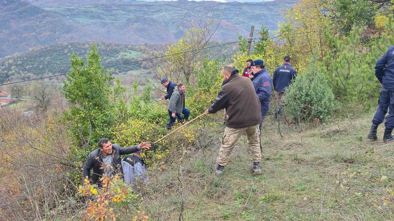 Defne toplarken kaybolan kadının cansız bedeni bulundu: O anlar İHA kameralarına yansıdı

