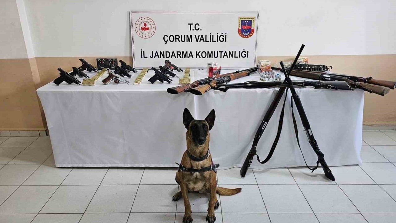 Çorum jandarmasından ’düğün magandaları’na operasyon : 11 gözaltı
