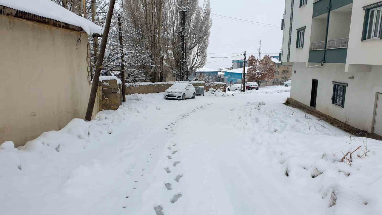 Başkale’de kar etkili oldu
