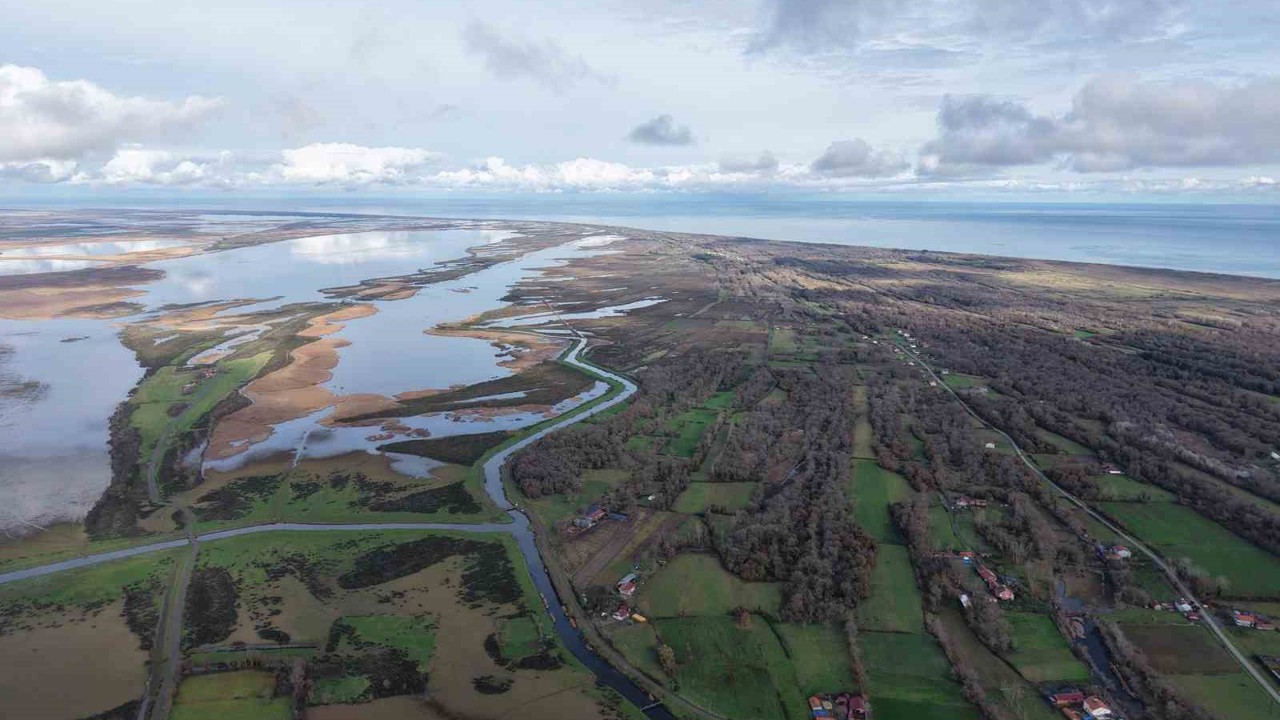 Kızılırmak Deltası’nda yer altı suları beslenemiyor: Her yıl su seviyesi düşüyor
