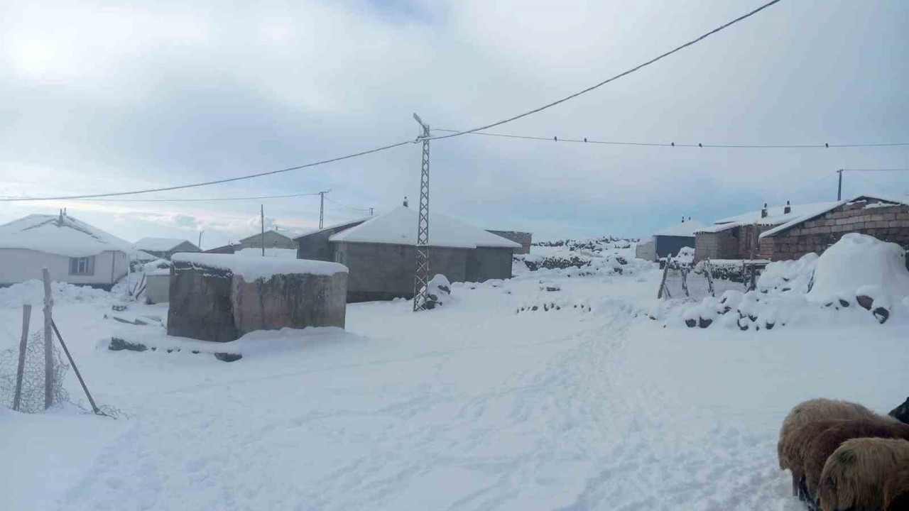 Karla birlikte Türkiye’nin en yüksek köyü Kışkılı’da besiciler zor durumda kaldı
