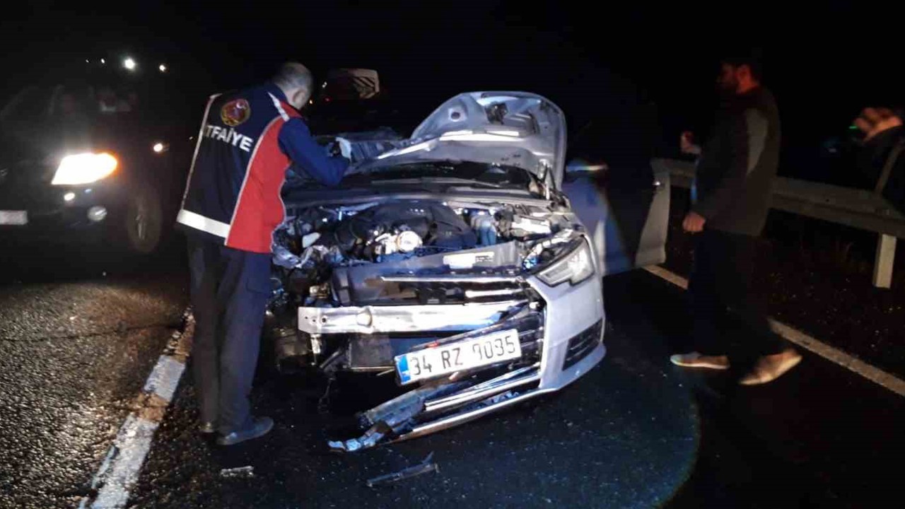 Mardin’de otomobilin çarptığı at telef oldu
