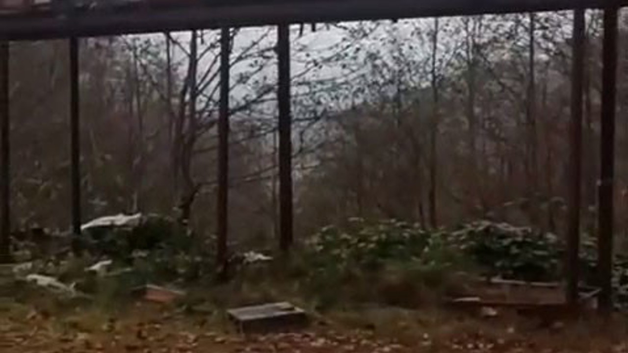 Rize’de ayılara demir profilli tezgah da çare olmadı
