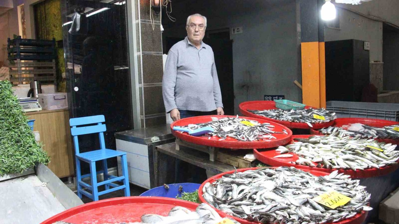 Bozdoğan’da balık tezgahlarının en çok tercih edilen çeşidi hamsi oldu
