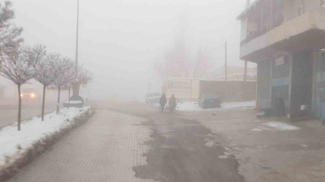 Başkale’de sis etkili oldu
