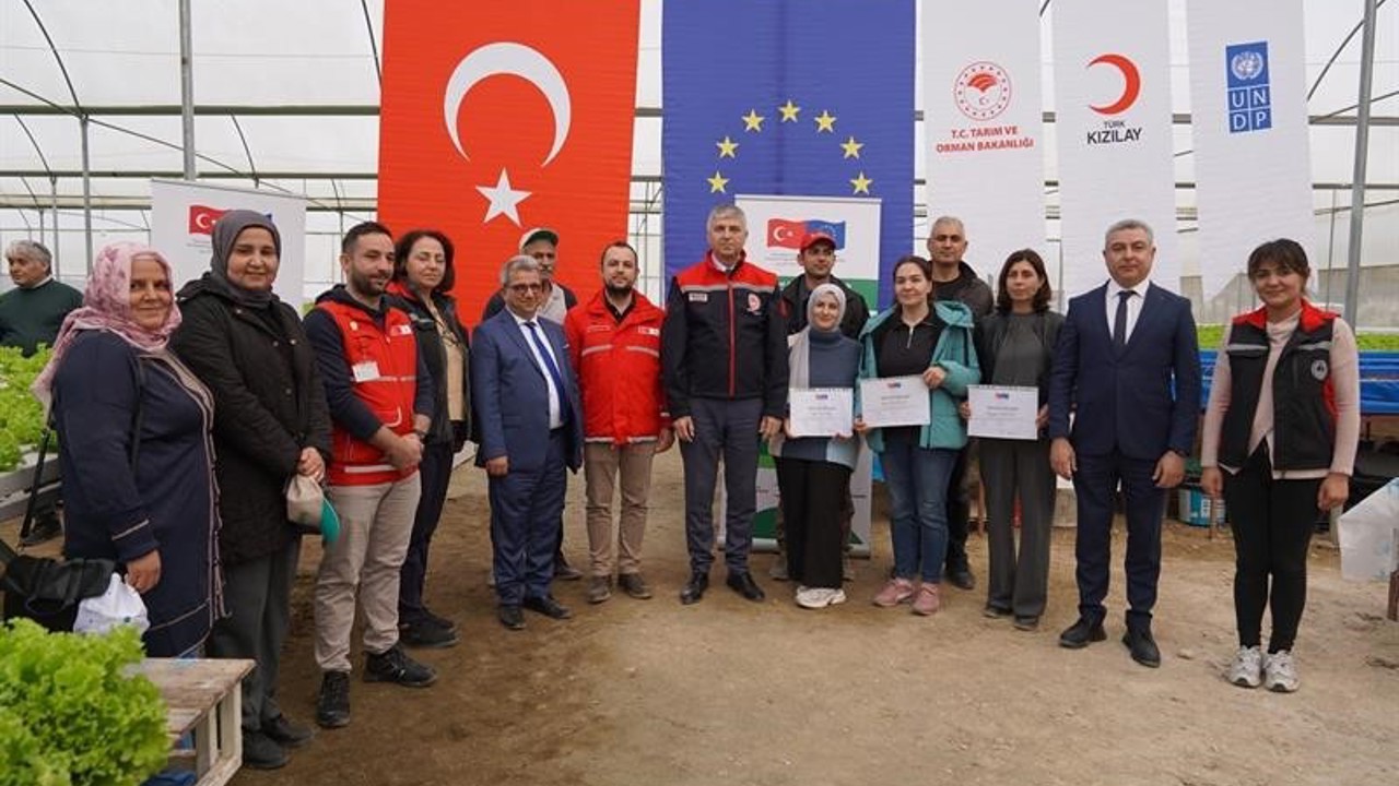 Adana’da topraksız marul yetiştiriciliği başladı
