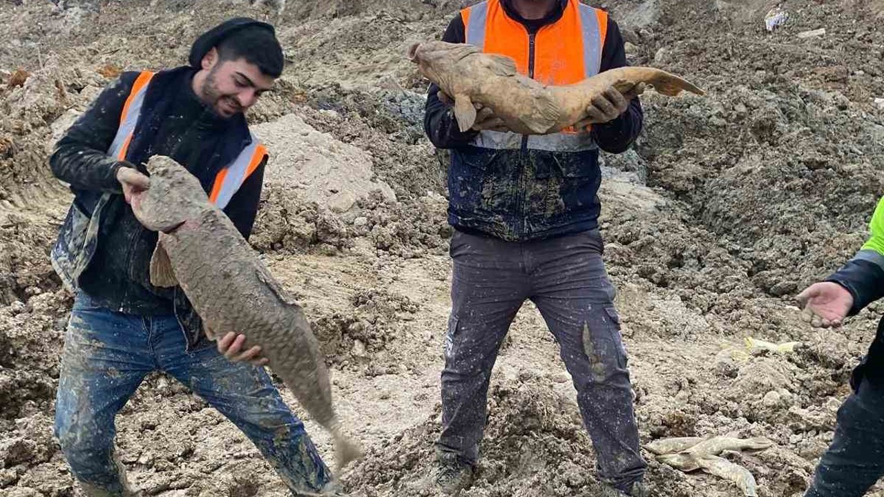 Arnavutköy’de İBB’nin döküm sahasına çevirdiği Mavi Göl’de balıklar can çekişiyor
