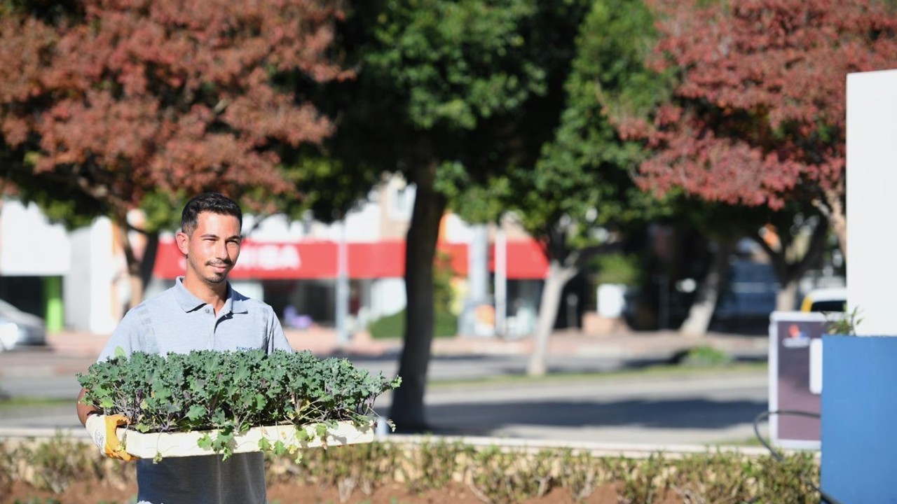 Konyaaltı’nda mevsimlik çiçek ekimi
