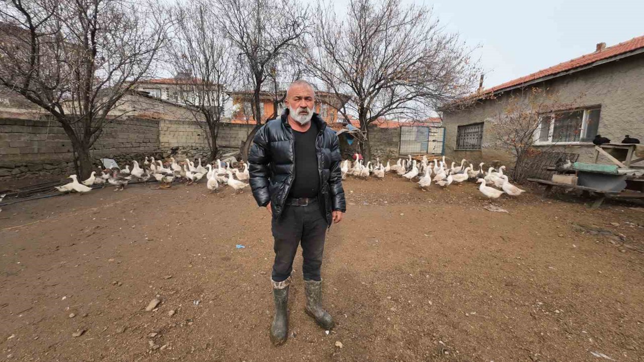 İstanbul’dan memleketi Yozgat’a döndü, binlerce hayvan üreterek geçimini sağlıyor
