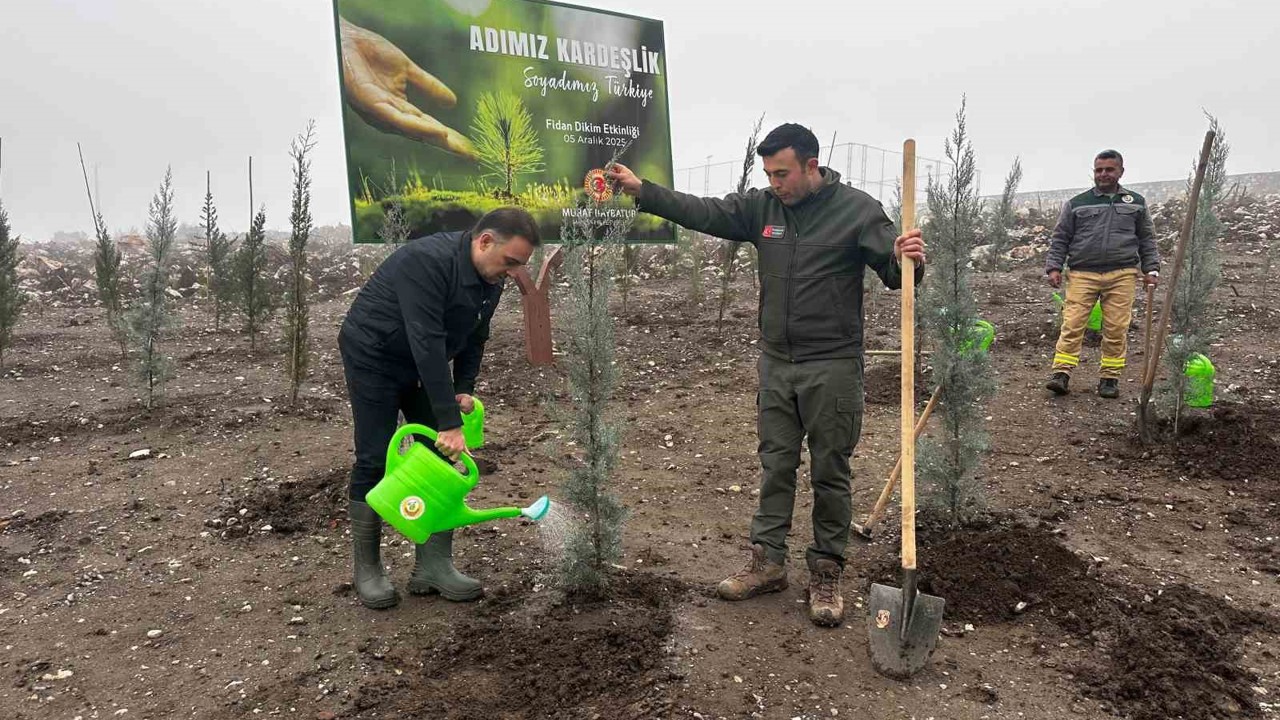 Baybatur&#x2019;dan yanan orman alanlar&#x131;na bin fidan&#xA;