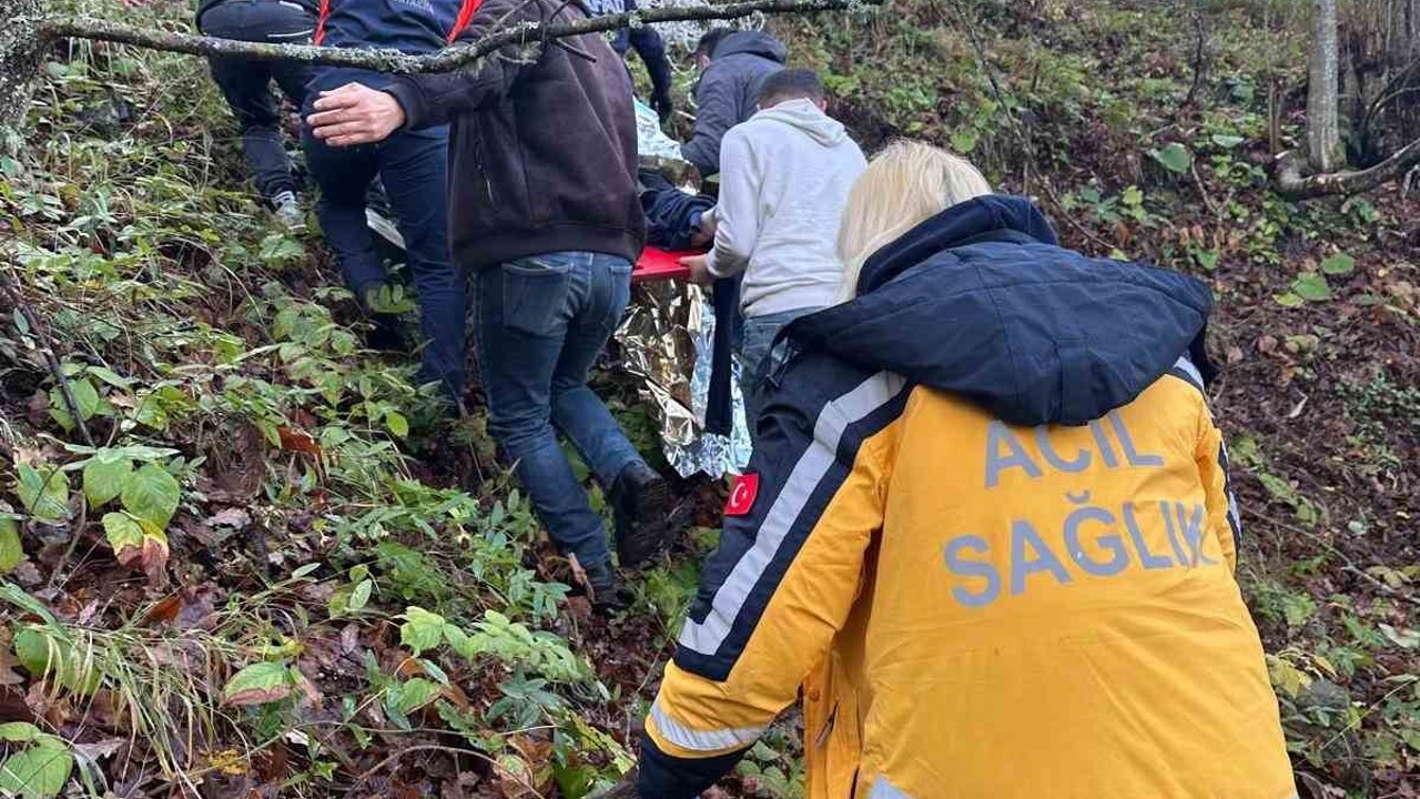 Otomobil ormanlık alana uçtu, 2 yaralı
