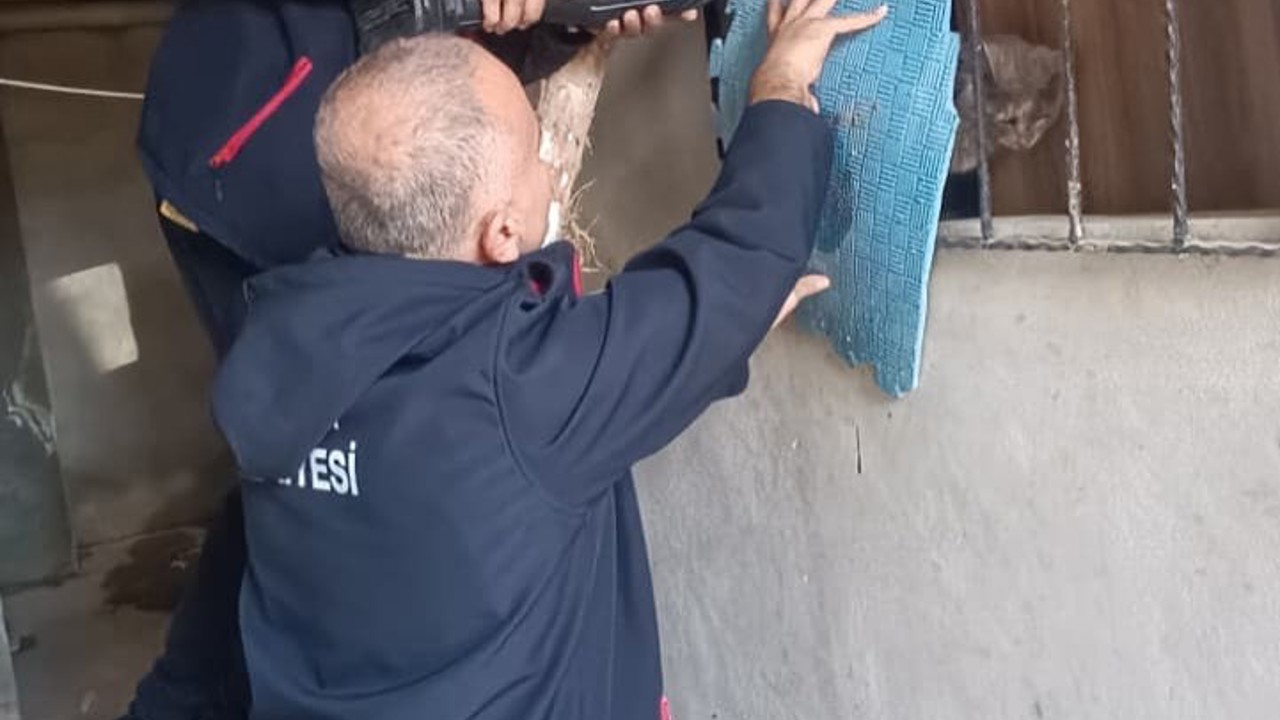 Antakya’da kedi kurtarma operasyonu
