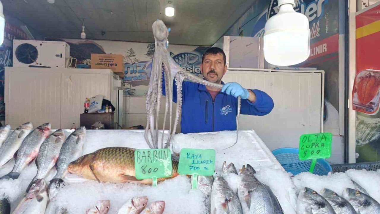 Denize kıyısı olmayan Kahramanmaraş’ta balığa yoğun ilgi
