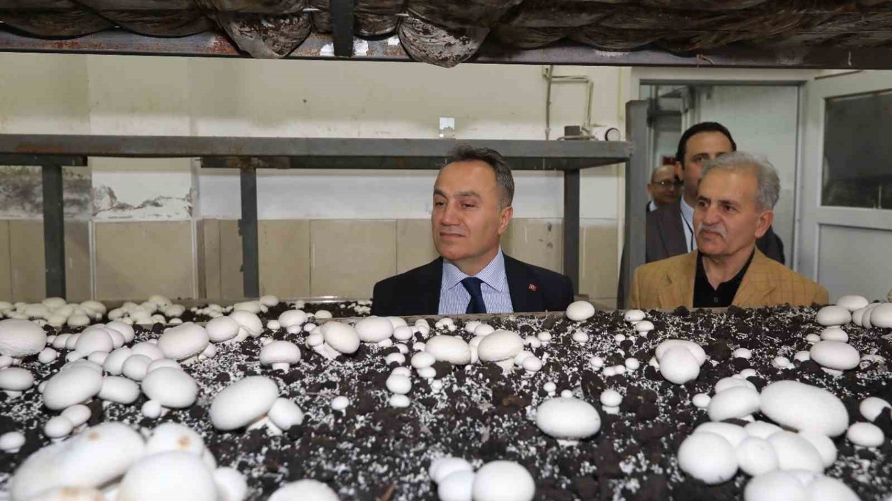 TOGÜ’de üretime dayalı eğitim modelleri güçleniyor
