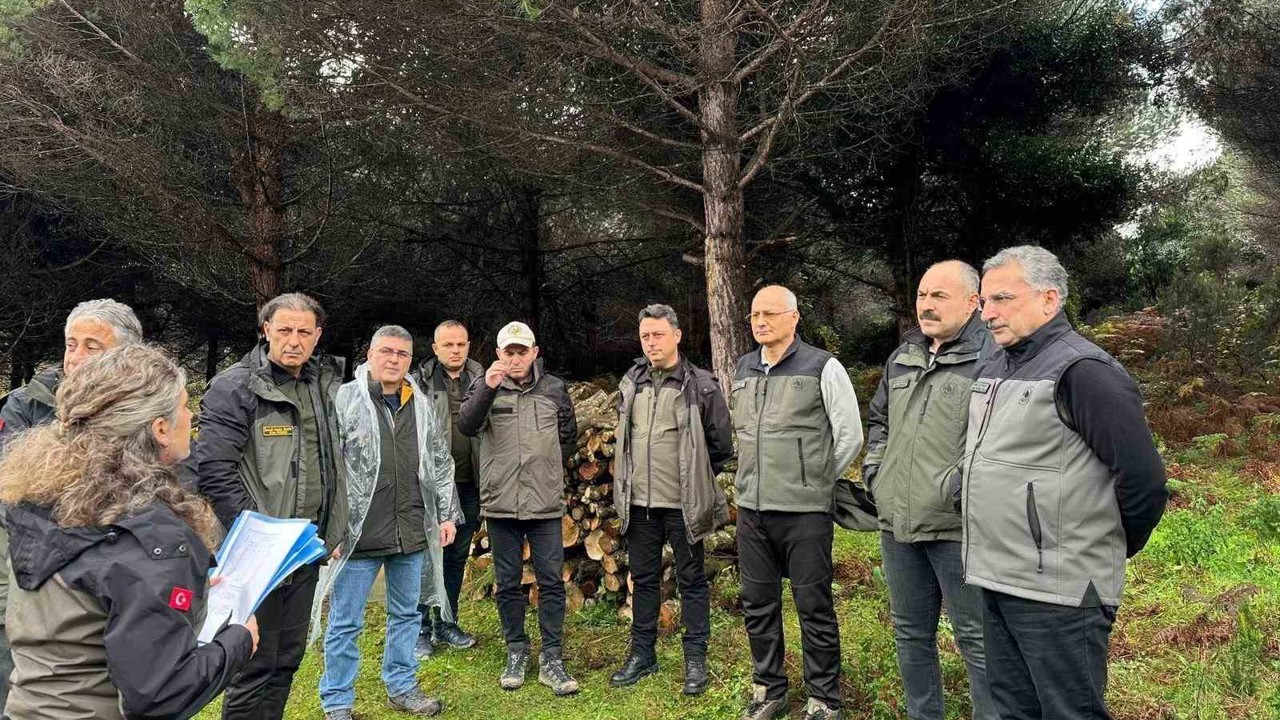 Sinop’ta ormancılık faaliyetleri
