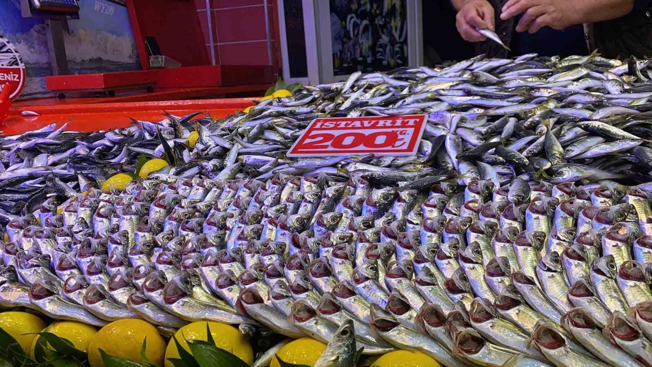 Bolu’da fırtına balık tezgahlarını vurdu
