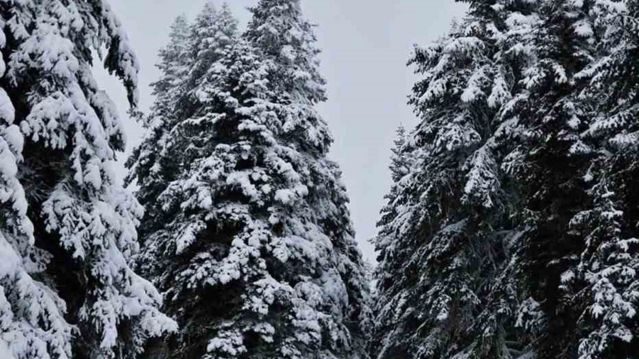Meteorolojinin uyardığı Çankırı’da kar yağışı etkili oldu
