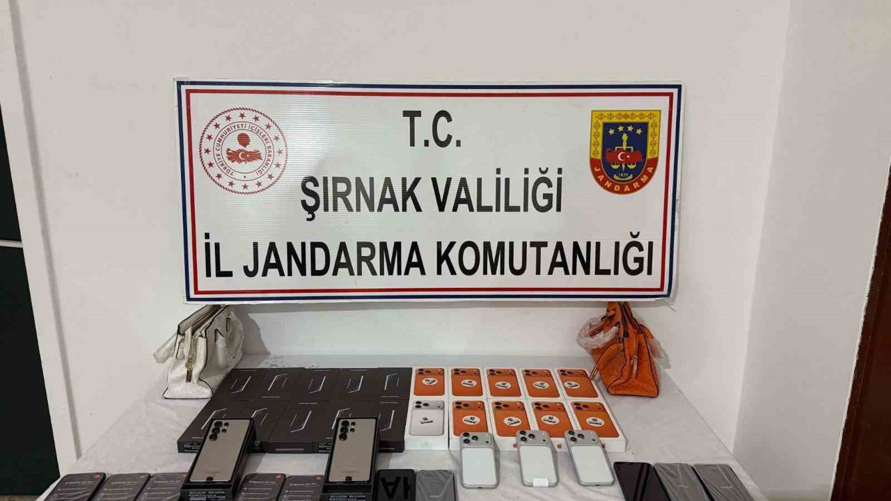 Şırnak’ta jandarmadan dev operasyon: 69 şüpheliye adli işlem yapıldı
