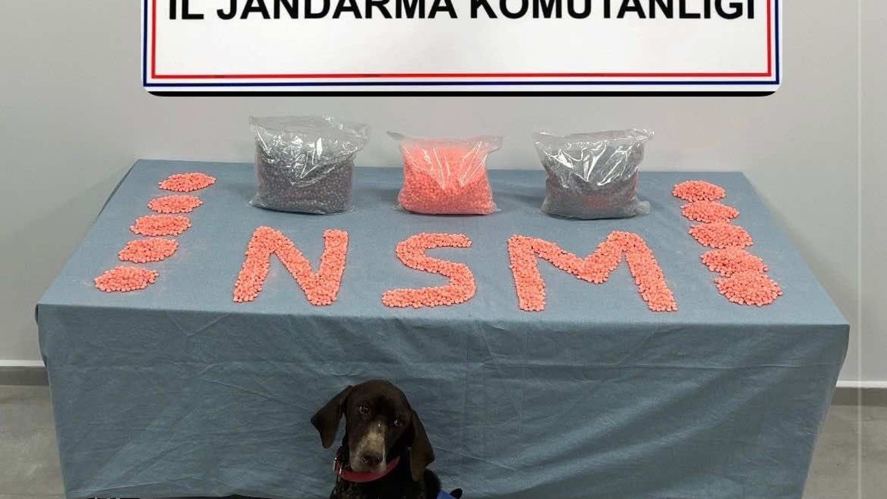 Jandarma KOM’un başarılı operasyonunda 28 bin adet uyuşturucu hap ele geçirildi
