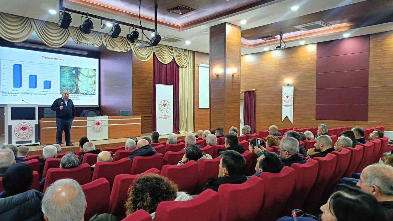 Prof. Dr. Yeninar: "Arı ölümlerinin çoğu kışlamaya bağlı ortaya çıkıyor"
