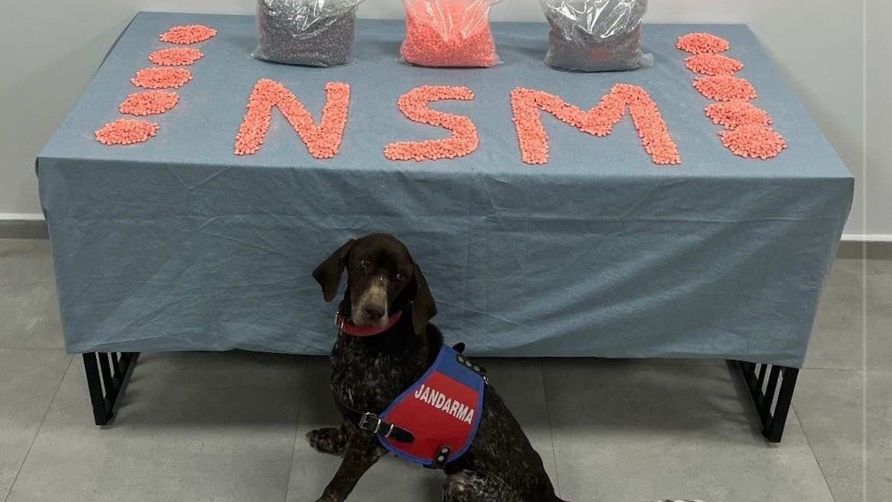 Denizli’de jandarma narkotik ekipleri zehir tacirlerine göz açtırmıyor
