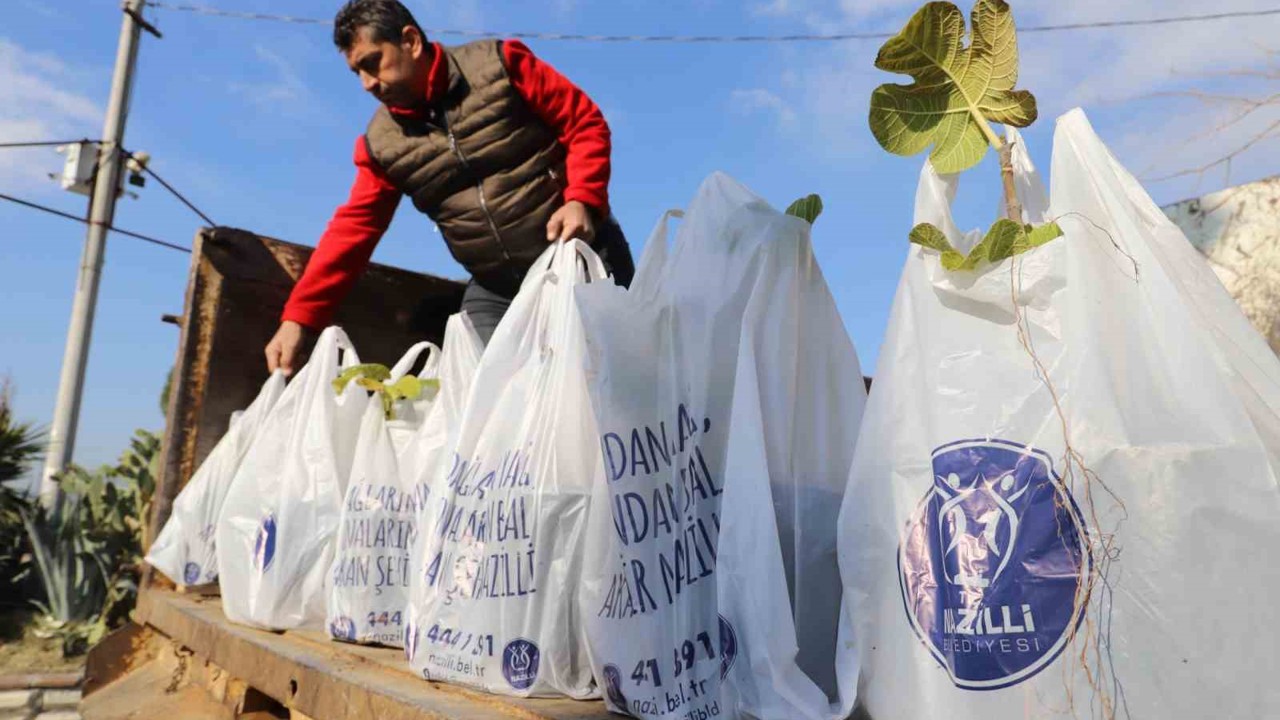Nazilli Belediyesi’nin dağıttığı binlerce ağaç fidanı kısa sürede tükendi

